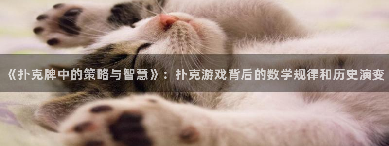 杏运娱乐注册流程：《扑克牌中的策略与智慧》：扑克游戏背后的数