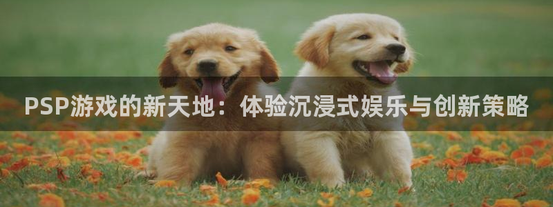 杏运娱乐怎么样