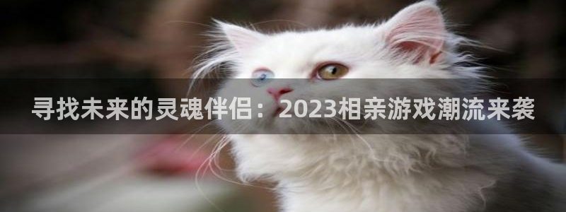杏运娱乐：寻找未来的灵魂伴侣：2023相亲游戏潮流来袭