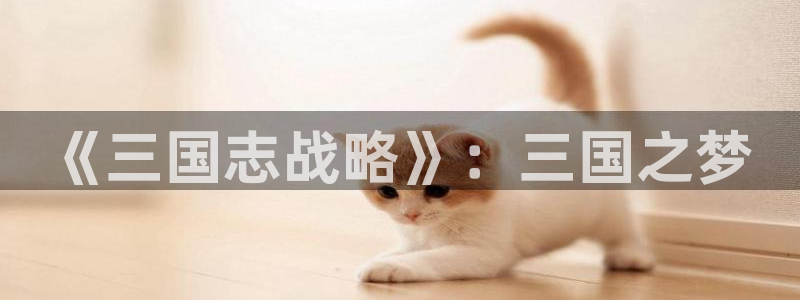 杏运体育官方网址：《三国志战略》：三国之梦