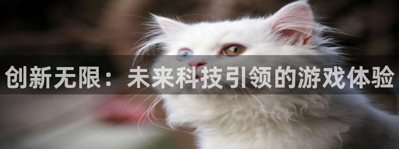 杏运娱乐手机端官网：创新无限：未来科技引领的游戏体验