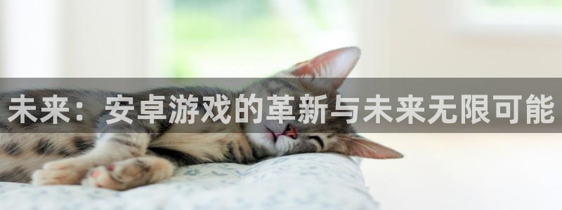 杏运电影免费观看