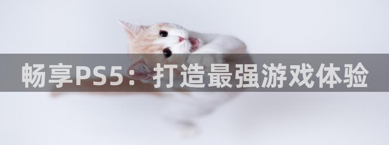 杏运电影免费观看