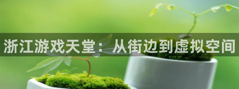 杏运体育官方网址：浙江游戏天堂：从街边到虚拟空间