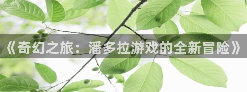 杏运娱乐手机端官网