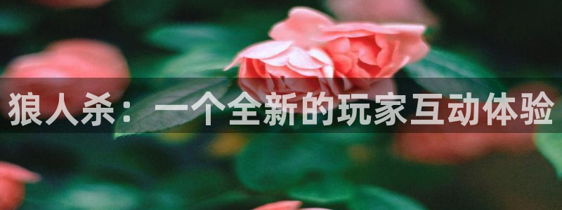 杏运娱乐怎么样