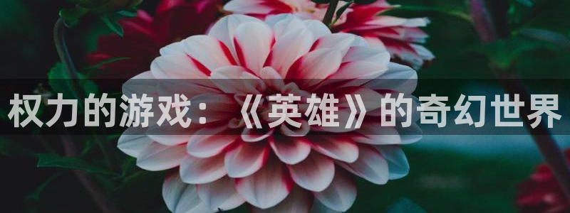 杏运连连：权力的游戏：《英雄》的奇幻世界